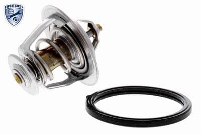 Termostato, refrigerante ACKOJA A53-99-0011