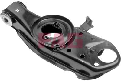 Brazo oscilante, suspensión de ruedas Schaeffler FAG 821 0089 10