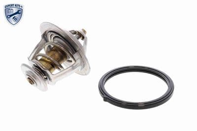 Termostato, refrigerante ACKOJA A52-99-0010