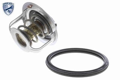 Termostato, refrigerante ACKOJA A64-99-0009