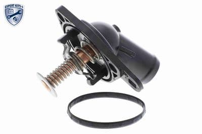 Termostato, refrigerante ACKOJA A26-99-0012