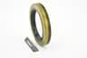 Vista 12
