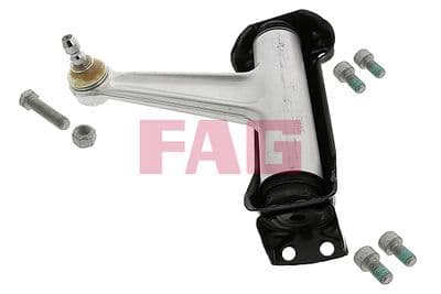 Brazo oscilante, suspensión de ruedas Schaeffler FAG 821 0202 10