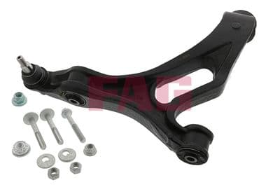 Brazo oscilante, suspensión de ruedas Schaeffler FAG 821 0668 10