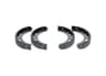 Vista 16