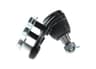 Vista 24