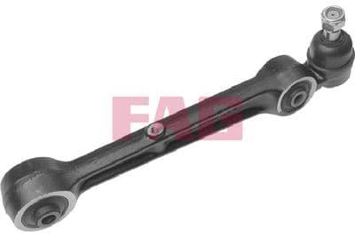 Brazo oscilante, suspensión de ruedas Schaeffler FAG 821 0005 10