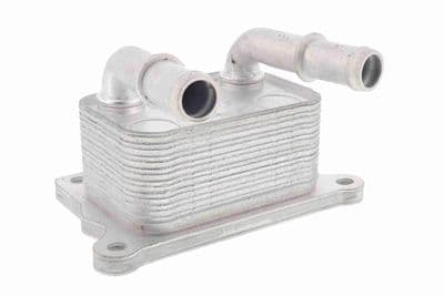 Radiador de aceite, aceite de motor ACKOJA A38-60-0004