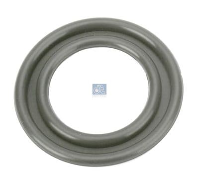 Junta tórica, radiador de aceite (lubricación) DT Spare Parts 2.11406