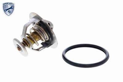 Termostato, refrigerante ACKOJA A70-99-0003