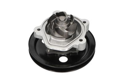 Bomba de agua, refrigeración del motor Kavo Parts HW-1809