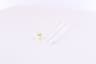 Vista 16