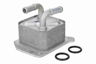 Radiador de aceite, aceite de motor ACKOJA A38-60-0029
