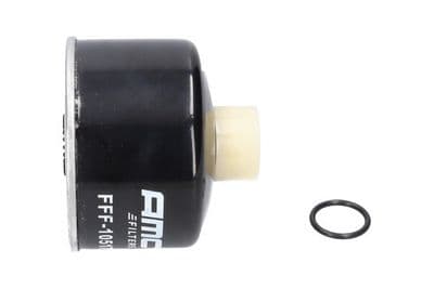 Filtro combustible Kavo Parts FFF-10517