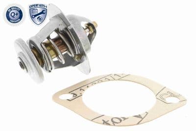 Termostato, refrigerante ACKOJA A52-99-0006
