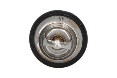 Termostato, refrigerante Kavo Parts TH-8503