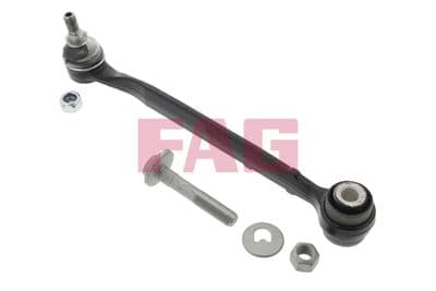 Brazo oscilante, suspensión de ruedas Schaeffler FAG 821 0878 10