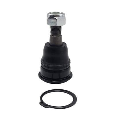 Rótula de suspensión/carga CTR CB0318