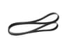 Vista 19