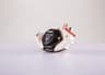 Vista 11