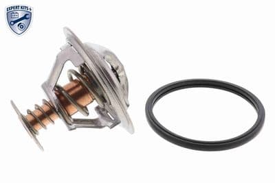 Termostato, refrigerante ACKOJA A38-99-0014