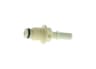 Vista 19