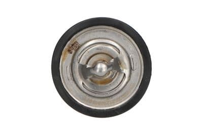 Termostato, refrigerante Kavo Parts TH-1004