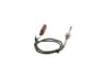 Vista 19