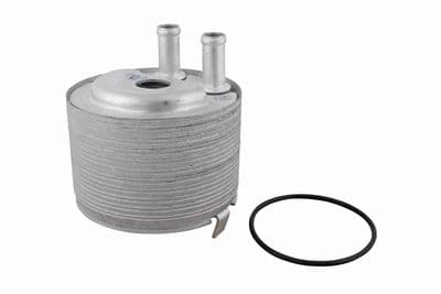 Radiador de aceite, aceite de motor ACKOJA A38-60-0012
