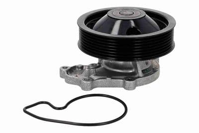 Bomba de agua, refrigeración del motor ACKOJA A26-50022