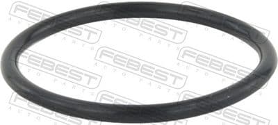 Junta tórica, conducto de aire de admisión FEBEST RINGAH-035
