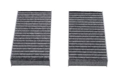 Filtro, aire del interior Kavo Parts HC-8111C