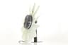 Vista 19
