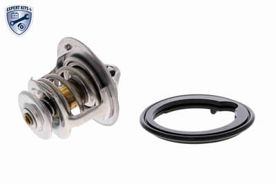 Termostato, refrigerante ACKOJA A26-99-0007