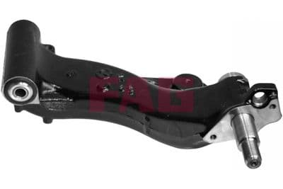 Brazo oscilante, suspensión de ruedas Schaeffler FAG 821 0382 10