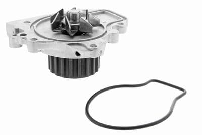 Bomba de agua, refrigeración del motor ACKOJA A26-50015