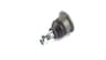 Vista 19