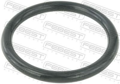 Empaque, Cuerpo de mariposa FEBEST RINGAH-009