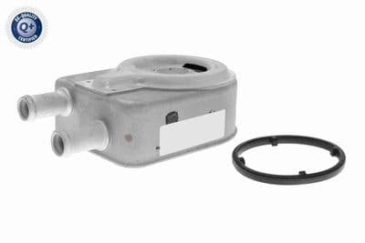 Radiador de aceite, aceite de motor ACKOJA A52-60-0018