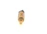 Vista 17