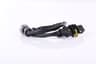 Vista 37