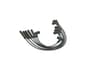 Vista 21