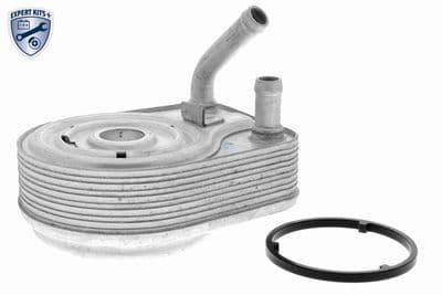 Radiador de aceite, aceite de motor ACKOJA A52-60-0008