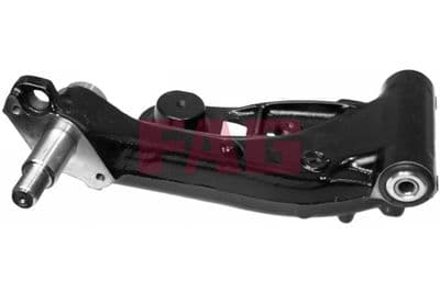 Brazo oscilante, suspensión de ruedas Schaeffler FAG 821 0387 10