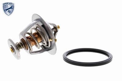 Termostato, refrigerante ACKOJA A37-99-0005