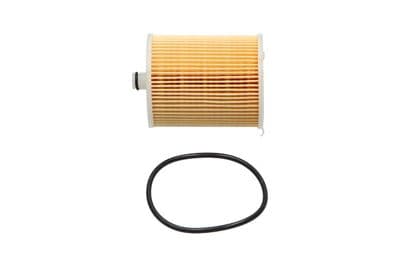 Filtro combustible Kavo Parts TF-1970