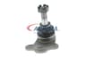 Vista 41