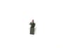 Vista 19