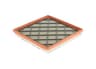 Vista 19