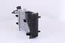 Vista 19